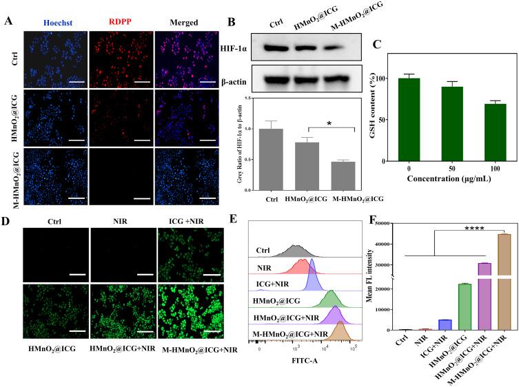 https://cdn.ncbi.nlm.nih.gov/pmc/blobs/9b13/11182360/423e0b963762/IJN-19-5837-g0006.jpg