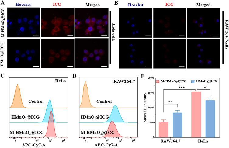 https://cdn.ncbi.nlm.nih.gov/pmc/blobs/9b13/11182360/98b120d3efe3/IJN-19-5837-g0004.jpg