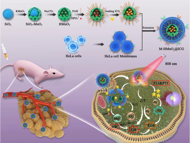 https://cdn.ncbi.nlm.nih.gov/pmc/blobs/9b13/11182360/bb924571d0c3/IJN-19-5837-g0001.jpg