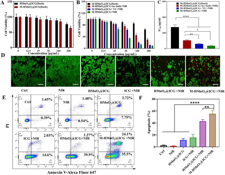 https://cdn.ncbi.nlm.nih.gov/pmc/blobs/9b13/11182360/d78fc1ff448e/IJN-19-5837-g0005.jpg
