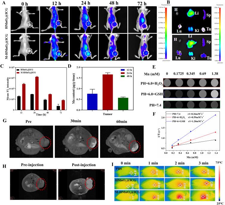 https://cdn.ncbi.nlm.nih.gov/pmc/blobs/9b13/11182360/de92d7f9df6c/IJN-19-5837-g0007.jpg