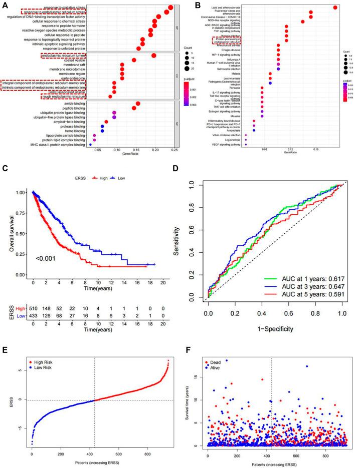 https://cdn.ncbi.nlm.nih.gov/pmc/blobs/9b14/11334084/a582323f9ade/fmolb-11-1414164-g001.jpg