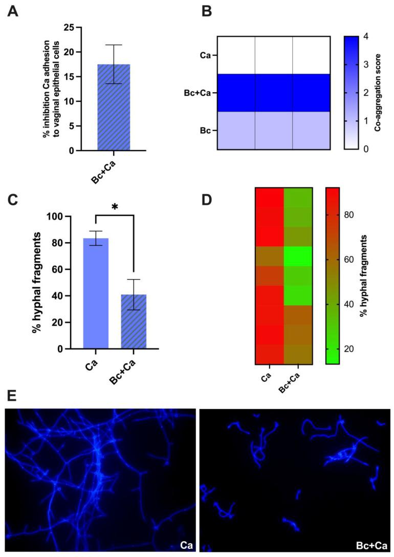 https://cdn.ncbi.nlm.nih.gov/pmc/blobs/9b14/11356316/66b872cbade0/microorganisms-12-01634-g003.jpg