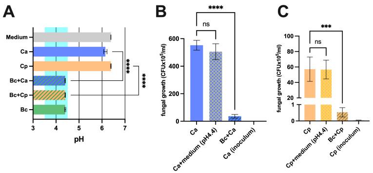 https://cdn.ncbi.nlm.nih.gov/pmc/blobs/9b14/11356316/68f31cb9d7e2/microorganisms-12-01634-g001.jpg