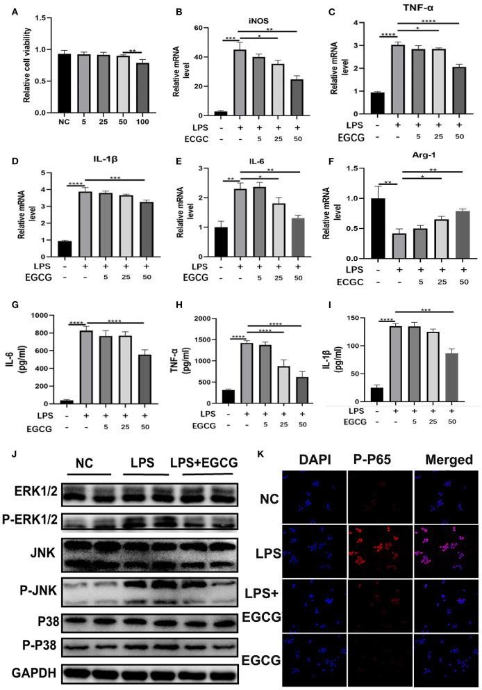 https://cdn.ncbi.nlm.nih.gov/pmc/blobs/9b14/9163550/6244cec9f9da/fnut-09-875765-g0005.jpg