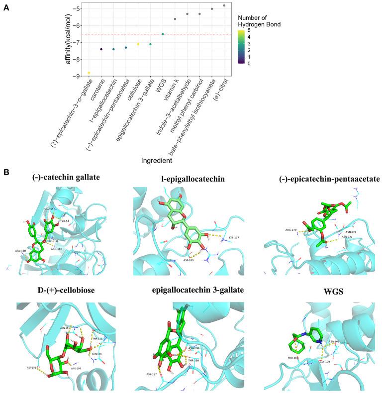https://cdn.ncbi.nlm.nih.gov/pmc/blobs/9b14/9163550/ae56ff05a46a/fnut-09-875765-g0004.jpg
