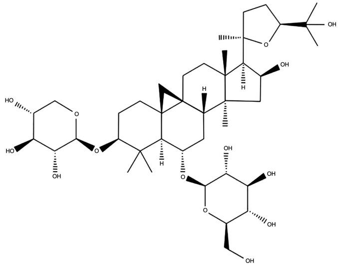 https://cdn.ncbi.nlm.nih.gov/pmc/blobs/9b15/9685271/528aed4ff190/or-49-01-08442-g00.jpg