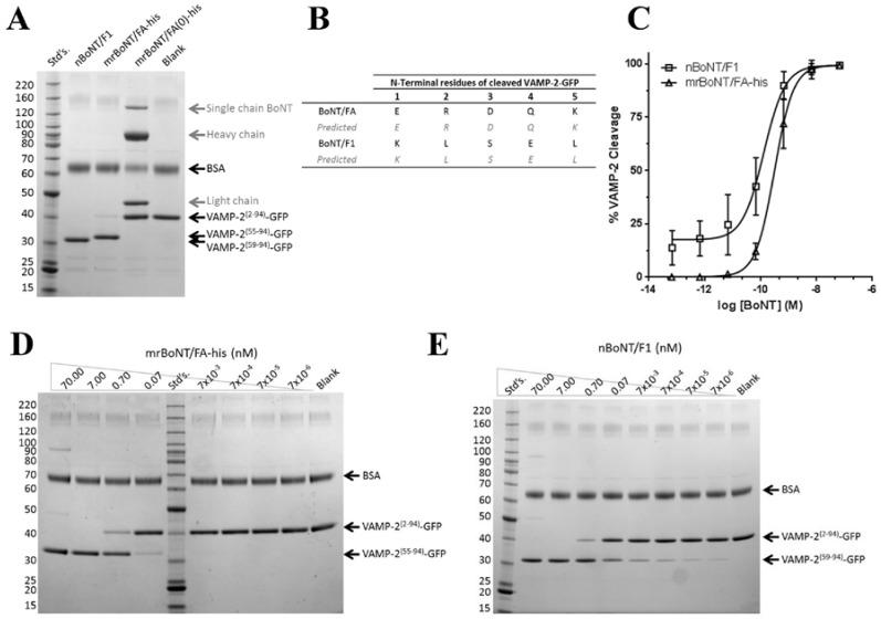 https://cdn.ncbi.nlm.nih.gov/pmc/blobs/9b17/5983251/01b889d7f613/toxins-10-00195-g003.jpg