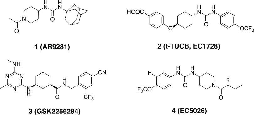https://cdn.ncbi.nlm.nih.gov/pmc/blobs/9b18/9850727/68ba97eedfd7/ao2c06936_0004.jpg