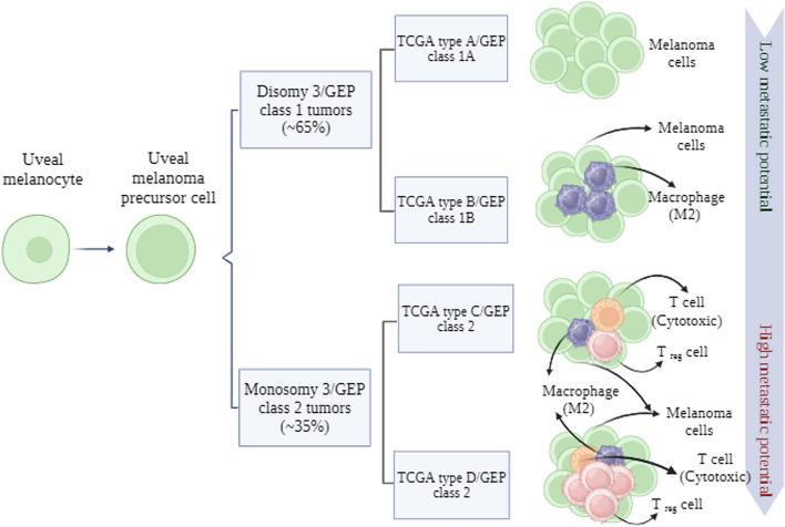 https://cdn.ncbi.nlm.nih.gov/pmc/blobs/9b1c/11082128/e7d6c43fca59/43556_2024_182_Fig5_HTML.jpg