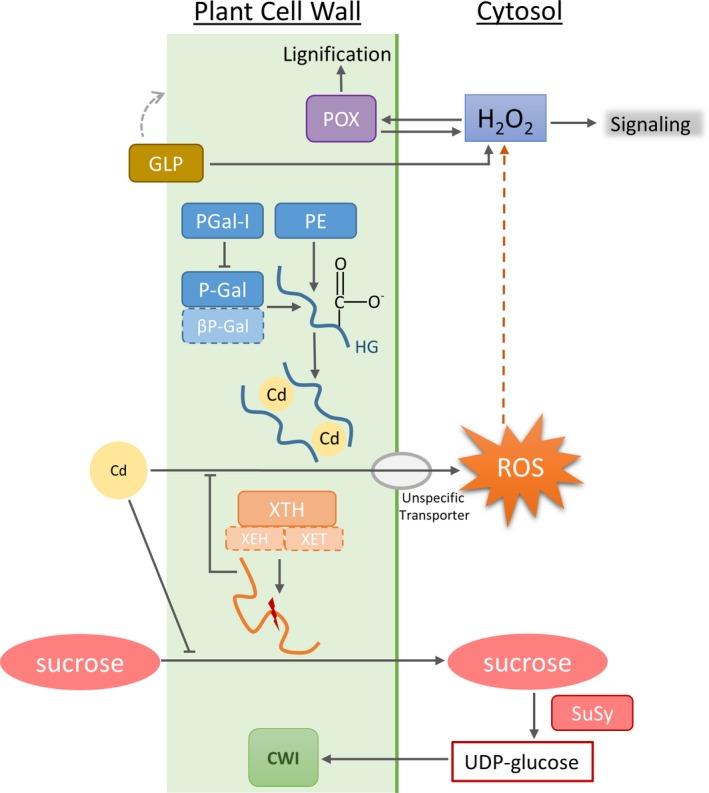 https://cdn.ncbi.nlm.nih.gov/pmc/blobs/9b1c/6221066/063311cab14a/PLB-20-1023-g005.jpg