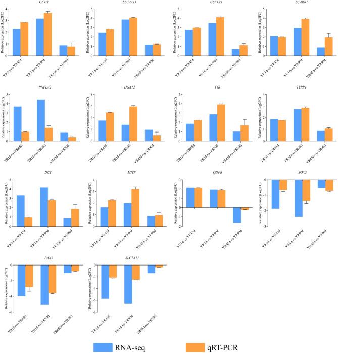 https://cdn.ncbi.nlm.nih.gov/pmc/blobs/9b1c/8742018/5cc7ad2bdbe2/41598_2021_4255_Fig11_HTML.jpg