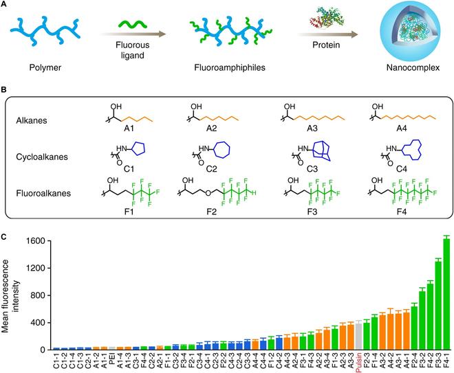 https://cdn.ncbi.nlm.nih.gov/pmc/blobs/9b1d/10809898/b3635efb27a0/bmef.0035.fig.004.jpg