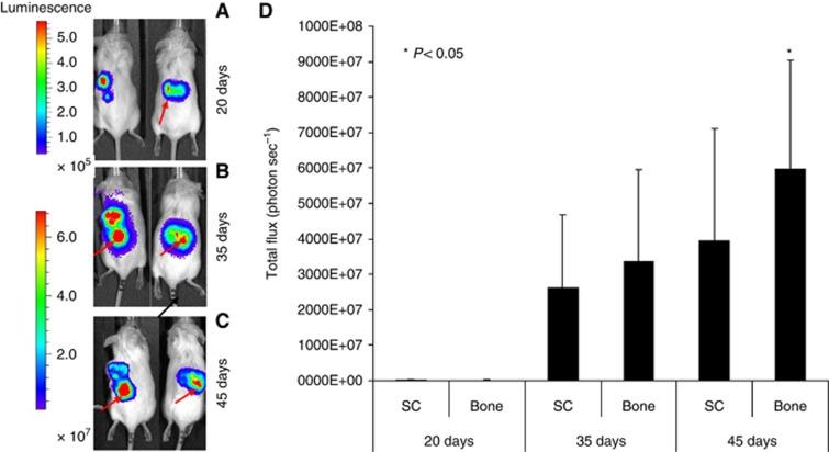 https://cdn.ncbi.nlm.nih.gov/pmc/blobs/9b1d/3694250/e28b966cbfff/bjc2013271f1.jpg
