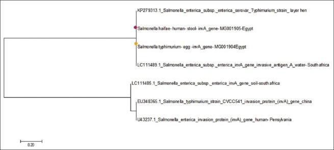 https://cdn.ncbi.nlm.nih.gov/pmc/blobs/9b1e/6702568/145ca1457f0b/Vetworld-12-1033-g001.jpg