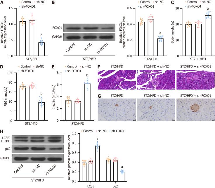 https://cdn.ncbi.nlm.nih.gov/pmc/blobs/9b20/12142190/39cd525d4094/102994-g003.jpg