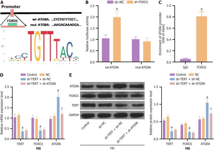 https://cdn.ncbi.nlm.nih.gov/pmc/blobs/9b20/12142190/959af5394f6f/102994-g004.jpg