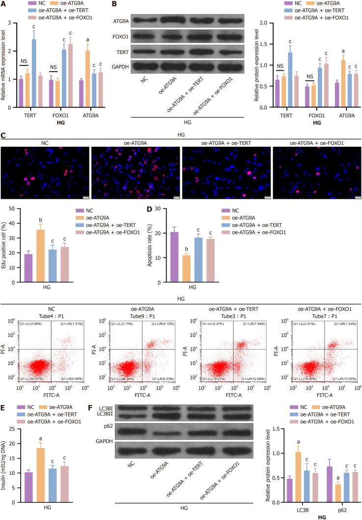 https://cdn.ncbi.nlm.nih.gov/pmc/blobs/9b20/12142190/d8af8dacae6e/102994-g005.jpg