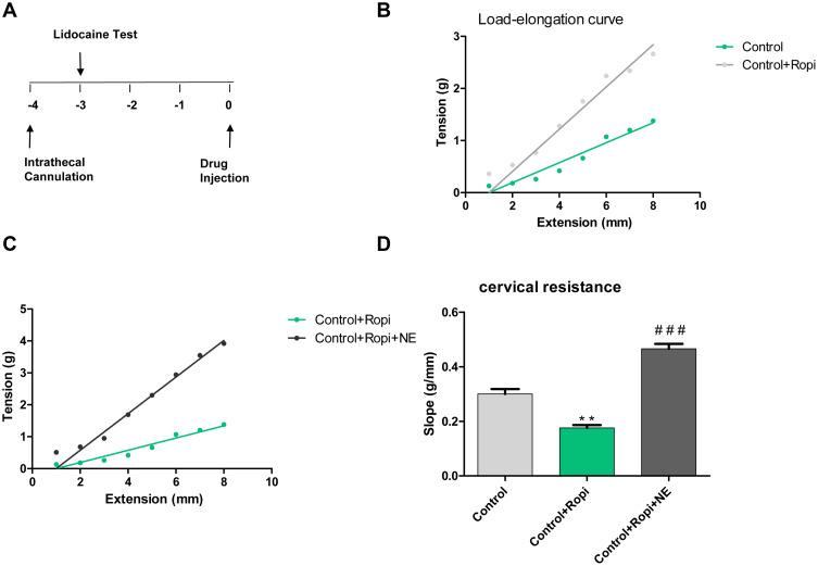https://cdn.ncbi.nlm.nih.gov/pmc/blobs/9b20/9056095/0b3cc5794816/DDDT-16-1183-g0001.jpg