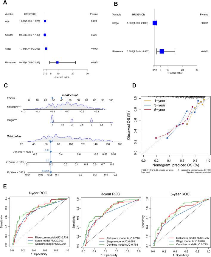 https://cdn.ncbi.nlm.nih.gov/pmc/blobs/9b21/12037612/06b9dfd6d74b/fgene-16-1521360-g005.jpg