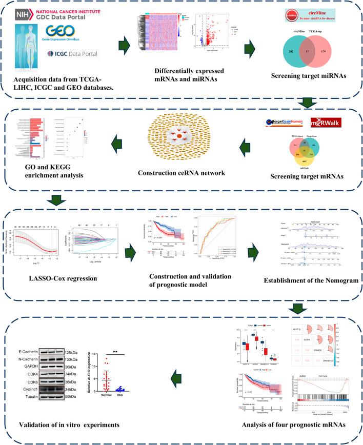 https://cdn.ncbi.nlm.nih.gov/pmc/blobs/9b21/12037612/1ad6ece29cda/fgene-16-1521360-g001.jpg