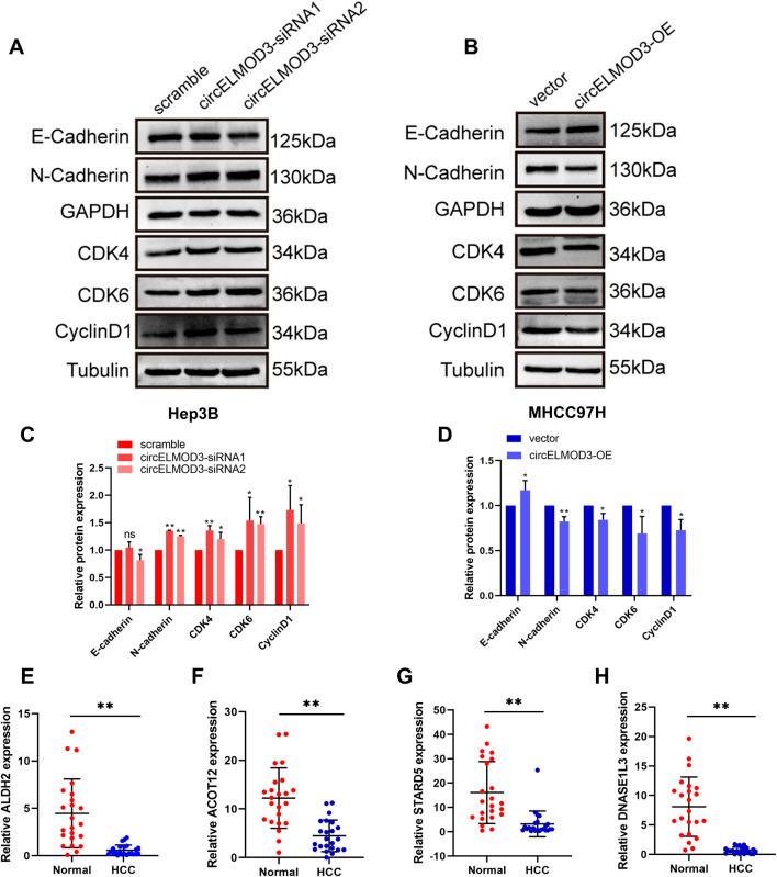 https://cdn.ncbi.nlm.nih.gov/pmc/blobs/9b21/12037612/6abfa91c14a2/fgene-16-1521360-g007.jpg