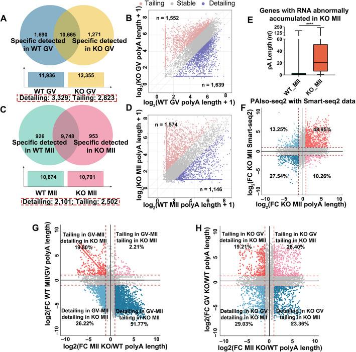 https://cdn.ncbi.nlm.nih.gov/pmc/blobs/9b21/12063454/6da162995284/13059_2025_3593_Fig4_HTML.jpg