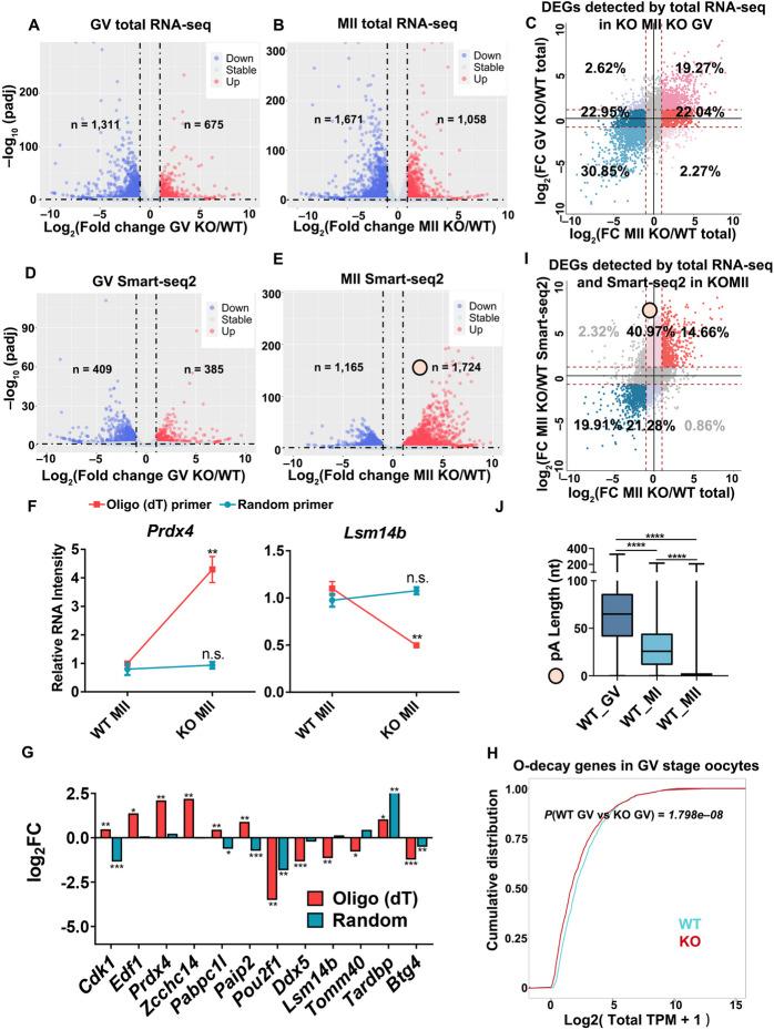 https://cdn.ncbi.nlm.nih.gov/pmc/blobs/9b21/12063454/73313dd720b4/13059_2025_3593_Fig3_HTML.jpg