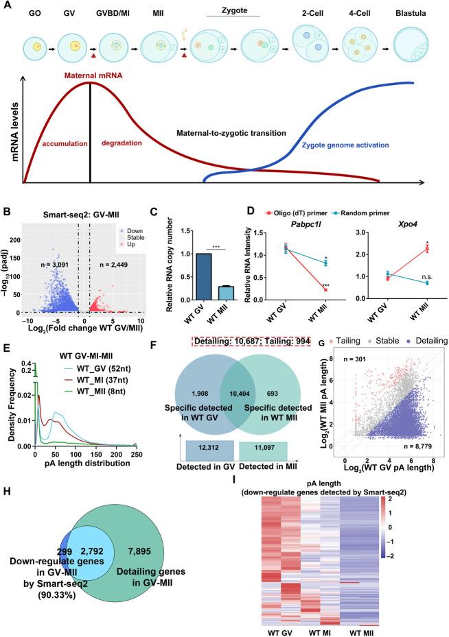 https://cdn.ncbi.nlm.nih.gov/pmc/blobs/9b21/12063454/790e0db770f7/13059_2025_3593_Fig1_HTML.jpg