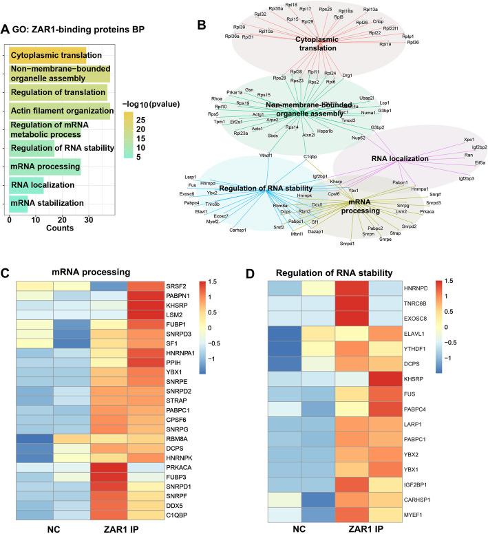 https://cdn.ncbi.nlm.nih.gov/pmc/blobs/9b21/12063454/82e10219d19d/13059_2025_3593_Fig6_HTML.jpg