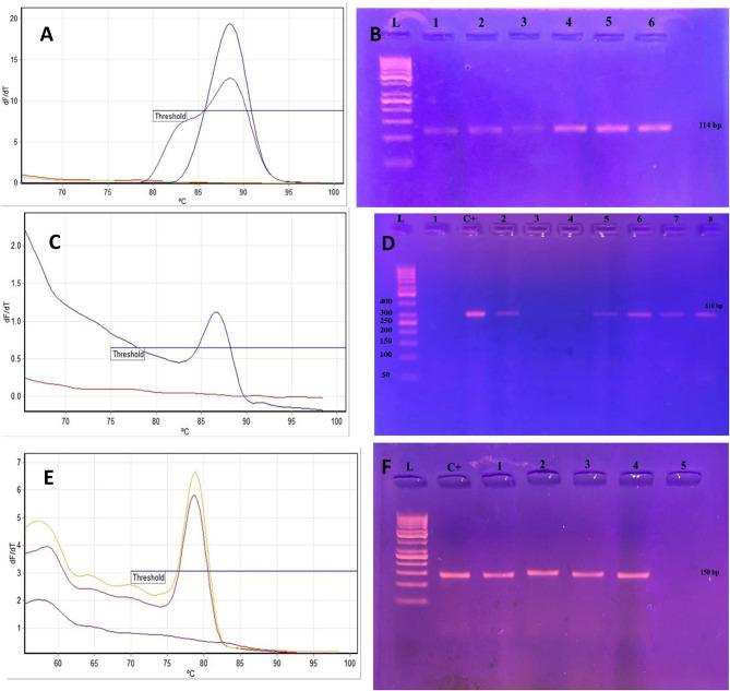 https://cdn.ncbi.nlm.nih.gov/pmc/blobs/9b26/12218089/48cd4fa7d889/13027_2025_674_Figd_HTML.jpg