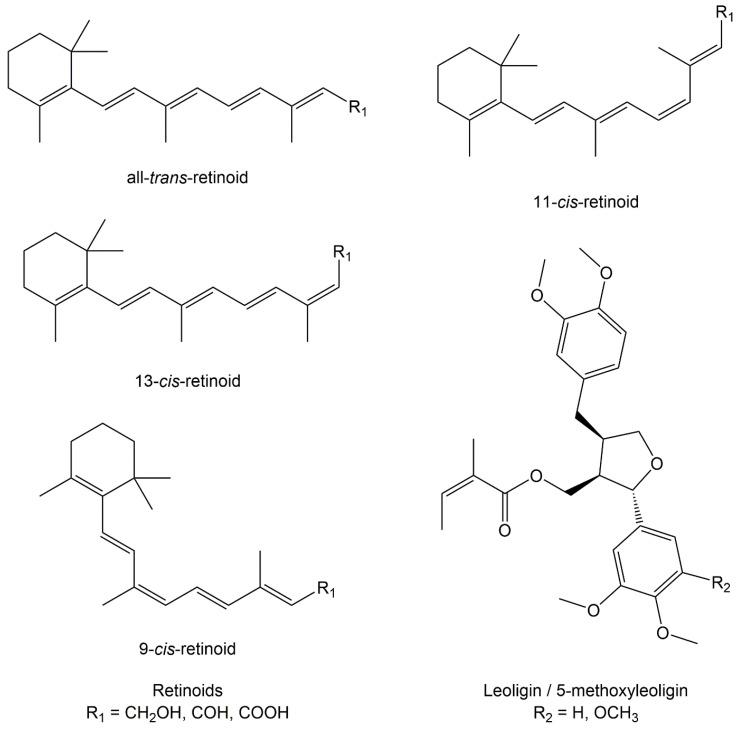 https://cdn.ncbi.nlm.nih.gov/pmc/blobs/9b26/7563598/91c9a4bd1c74/cells-09-02048-g001.jpg
