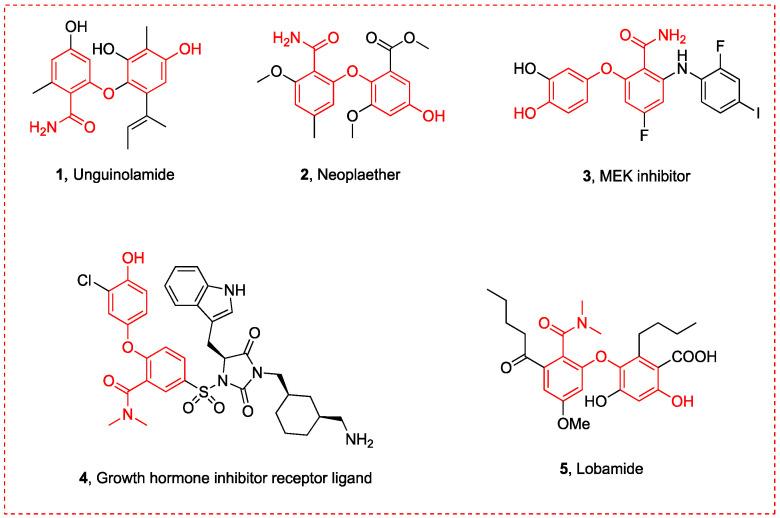 https://cdn.ncbi.nlm.nih.gov/pmc/blobs/9b27/11679658/5b39a28185ba/molecules-29-06048-g001.jpg