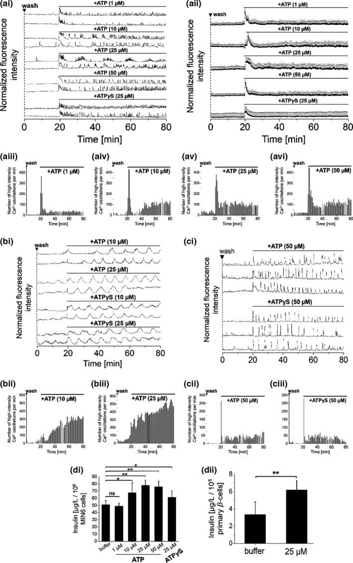 https://cdn.ncbi.nlm.nih.gov/pmc/blobs/9b28/8743876/34f03db1b184/PHY2-10-e15159-g001.jpg
