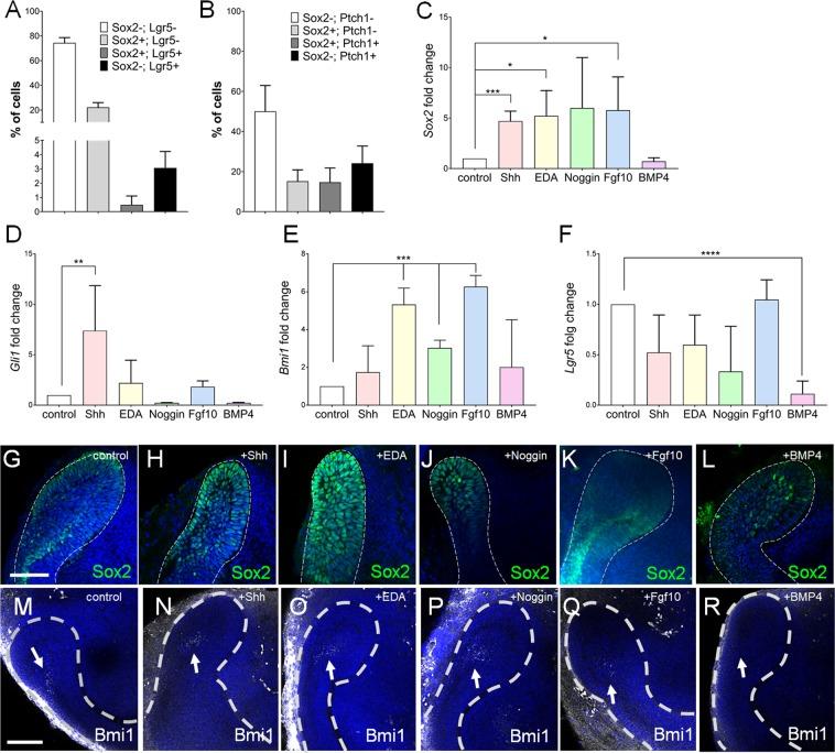 https://cdn.ncbi.nlm.nih.gov/pmc/blobs/9b29/7080756/0ec385be6085/41598_2020_60708_Fig1_HTML.jpg