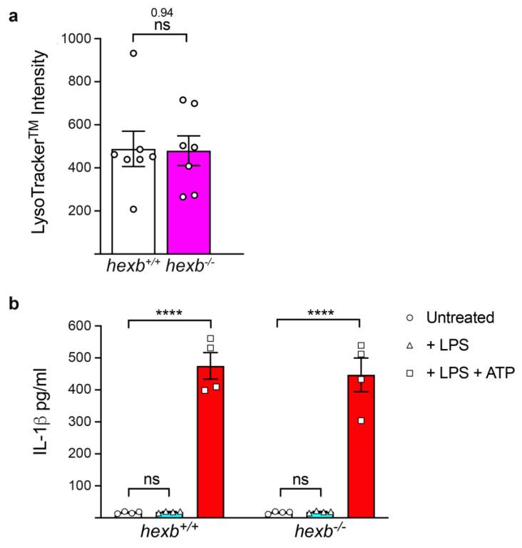 https://cdn.ncbi.nlm.nih.gov/pmc/blobs/9b2a/11720672/97043e2525f1/cells-14-00035-g004.jpg
