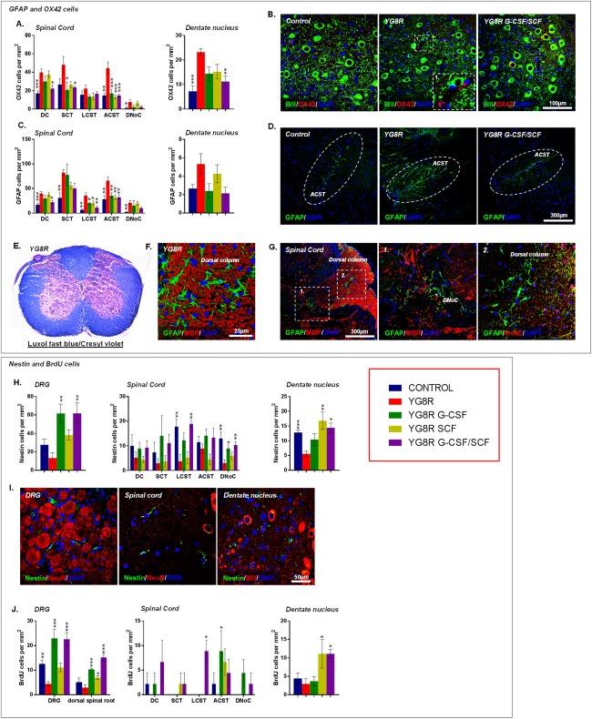 https://cdn.ncbi.nlm.nih.gov/pmc/blobs/9b2b/5324580/075864bf0733/ANA-81-212-g007.jpg
