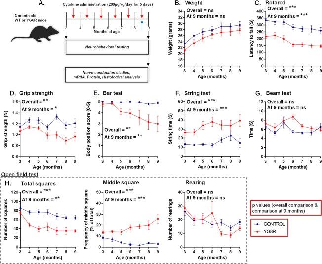 https://cdn.ncbi.nlm.nih.gov/pmc/blobs/9b2b/5324580/784debbc9b69/ANA-81-212-g001.jpg