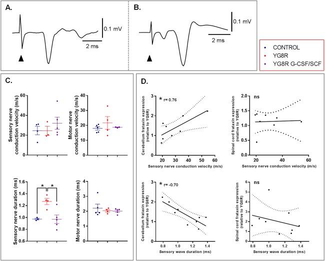 https://cdn.ncbi.nlm.nih.gov/pmc/blobs/9b2b/5324580/c09c745b5afb/ANA-81-212-g005.jpg