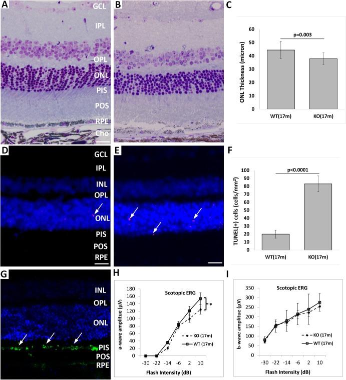 https://cdn.ncbi.nlm.nih.gov/pmc/blobs/9b2d/5345864/746bd4298eaa/pone.0173716.g007.jpg