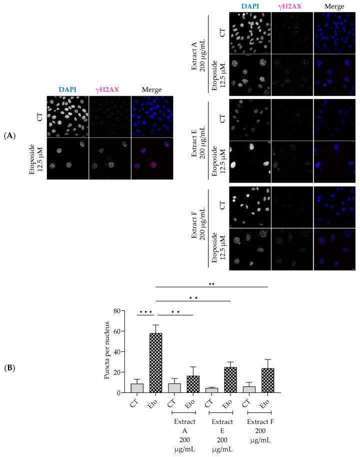 https://cdn.ncbi.nlm.nih.gov/pmc/blobs/9b32/11356890/aa852ba61fa8/molecules-29-03960-g005.jpg