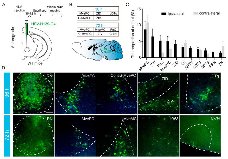 https://cdn.ncbi.nlm.nih.gov/pmc/blobs/9b32/12383615/f4c36fa50586/biomedicines-13-01943-g005.jpg