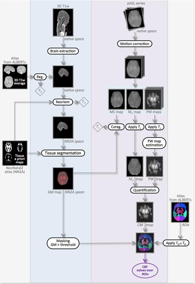 https://cdn.ncbi.nlm.nih.gov/pmc/blobs/9b33/6664197/d03a8bab1de4/gr1.jpg