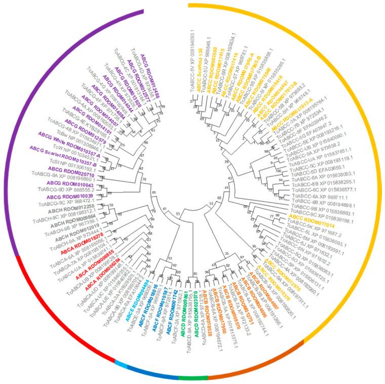 https://cdn.ncbi.nlm.nih.gov/pmc/blobs/9b33/8956072/1b1178e3dbd7/genes-13-00446-g002.jpg
