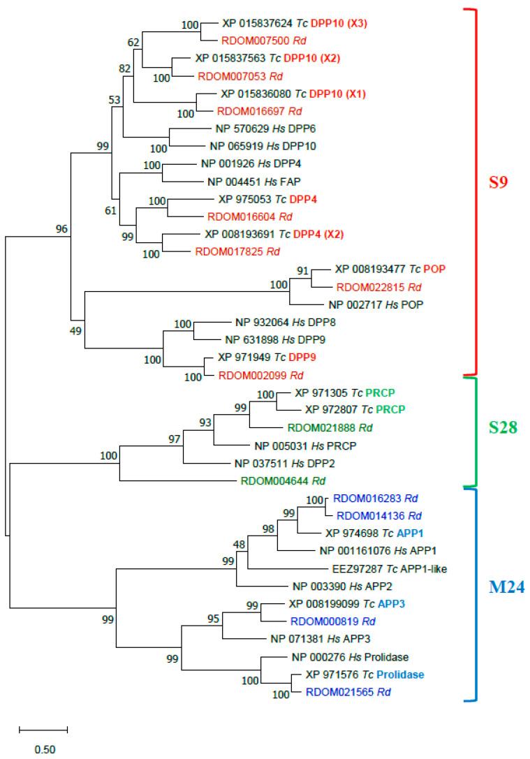 https://cdn.ncbi.nlm.nih.gov/pmc/blobs/9b33/8956072/ad54f4310796/genes-13-00446-g007.jpg
