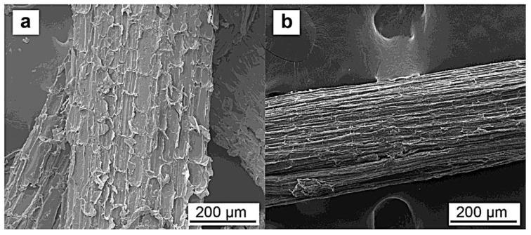 https://cdn.ncbi.nlm.nih.gov/pmc/blobs/9b33/9607144/4bc21de1e13e/polymers-14-04396-g004.jpg