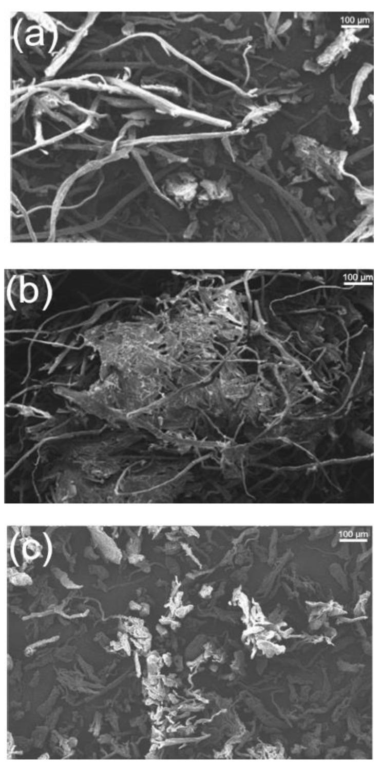 https://cdn.ncbi.nlm.nih.gov/pmc/blobs/9b33/9607144/8c5ee95adb74/polymers-14-04396-g007.jpg