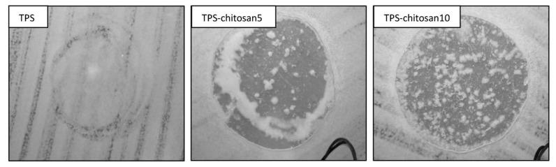 https://cdn.ncbi.nlm.nih.gov/pmc/blobs/9b33/9607144/c41053c1a320/polymers-14-04396-g006.jpg