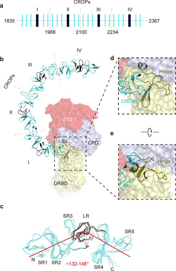 https://cdn.ncbi.nlm.nih.gov/pmc/blobs/9b35/6684407/ced1a8d4d355/nihms-1531387-f0002.jpg