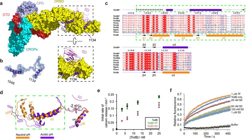 https://cdn.ncbi.nlm.nih.gov/pmc/blobs/9b35/6684407/f67c1d047b50/nihms-1531387-f0004.jpg